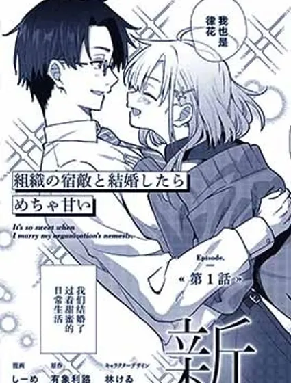和组织宿敌的婚后生活超甜封面
