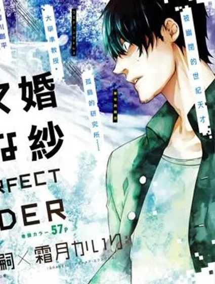 全部成為F -THE PERFECT INSIDER-封面