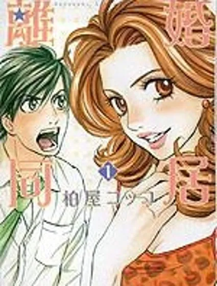 離婚同居封面