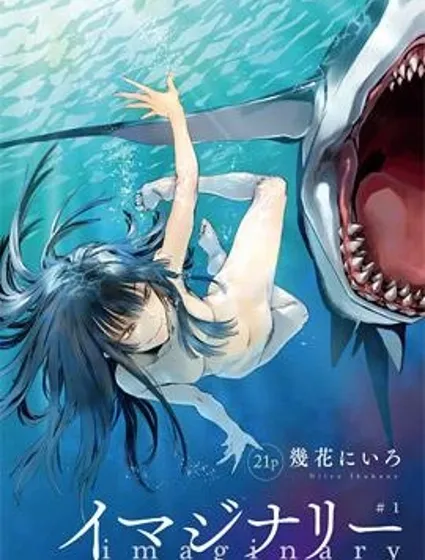 imaginary封面