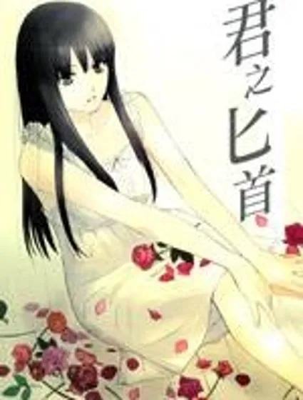 君之匕首封面