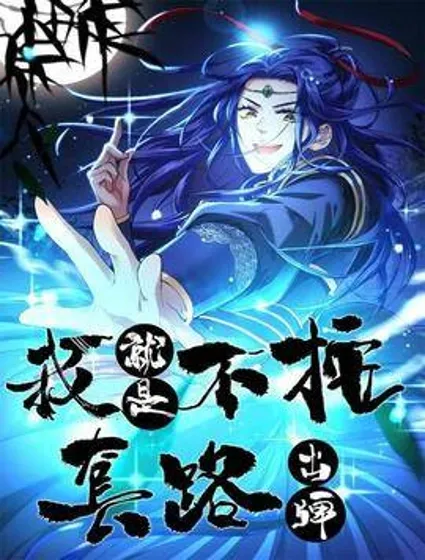 我就是不按套路出牌封面