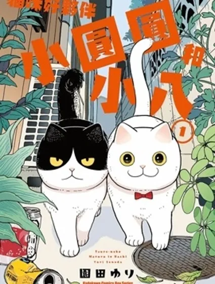 貓咪好夥伴小圓圓和小八封面