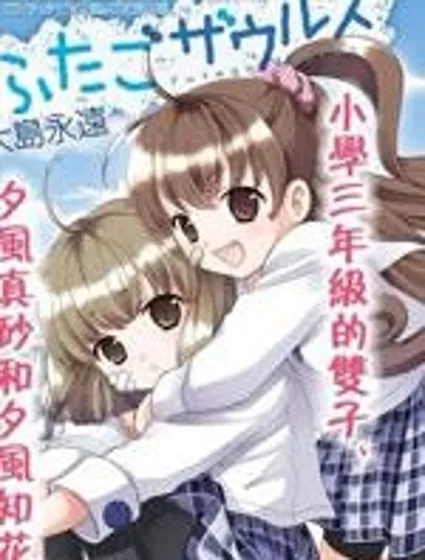 雙子日記封面