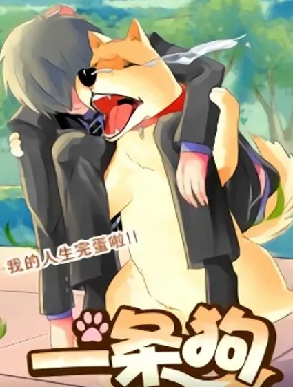 一条狗封面