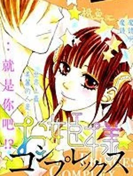 公主情結封面
