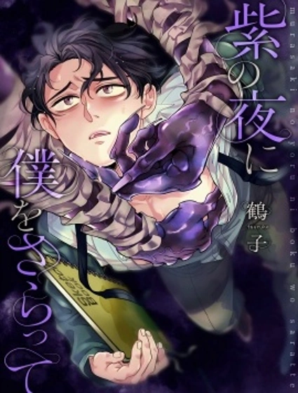 紫色夜魘，掠我而去封面