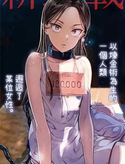 冒牌炼金术师封面