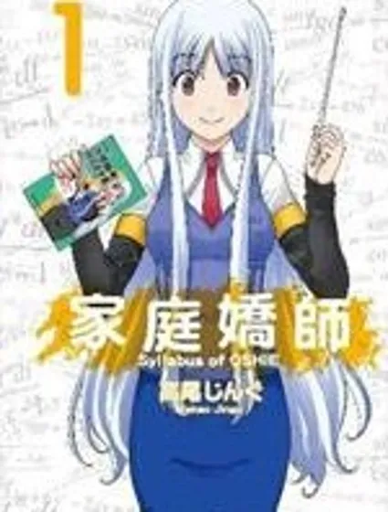 家庭嬌師封面