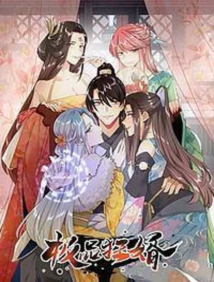 极品狂婿封面