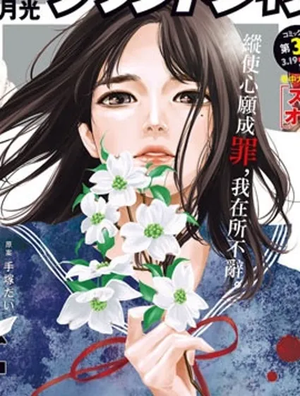 有花无实封面