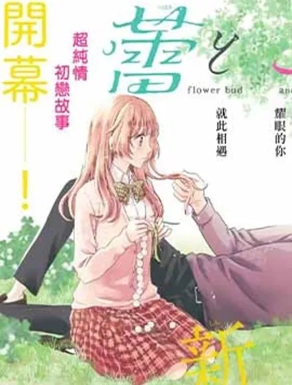 流星花緣封面