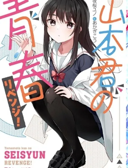 山本君的青春复仇封面