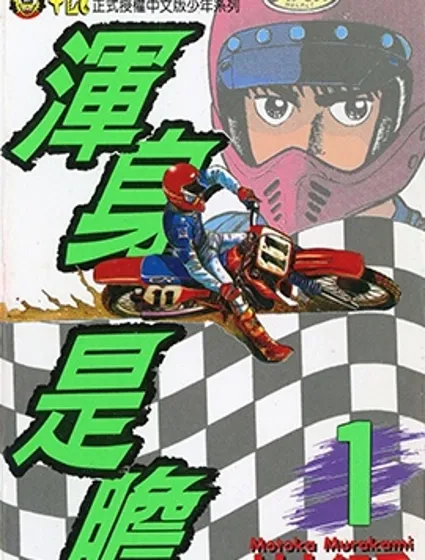 渾身是膽封面