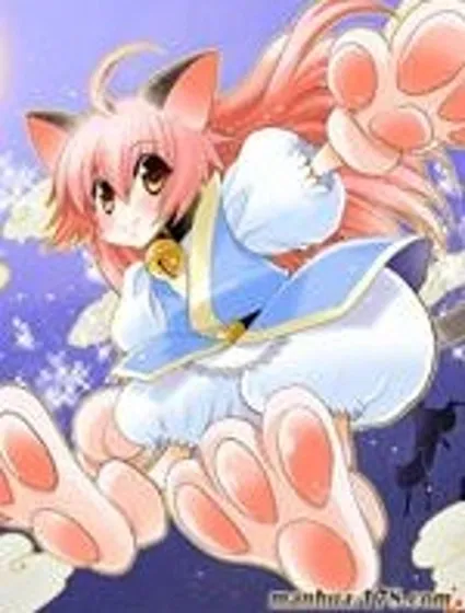 貓娘封面