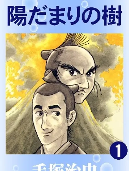 向陽之樹封面