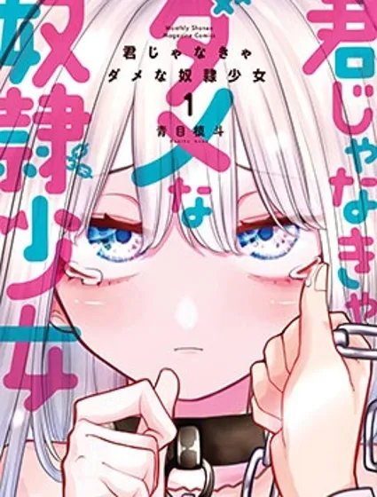 只属于你的奴隶少女封面